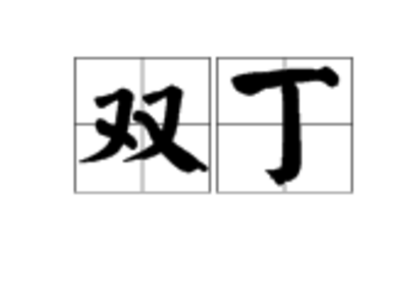  p>双丁是一个词语,读音是shuāng dīng,意思是一家之内的两个成年