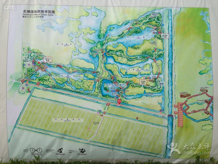 东滩湿地公园