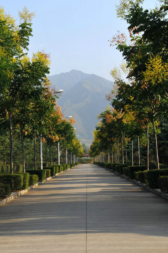 西北大学现代学院