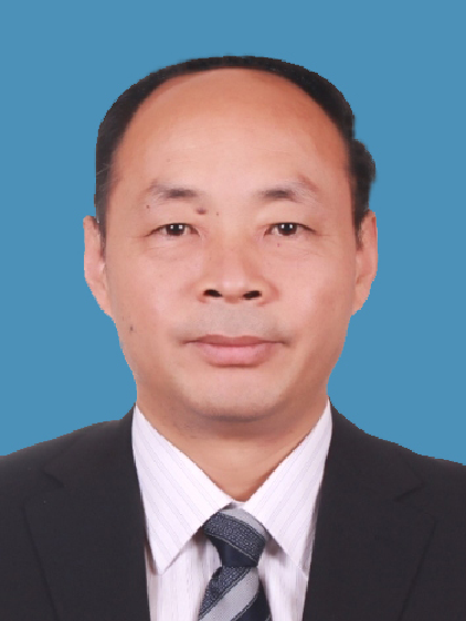 陈波