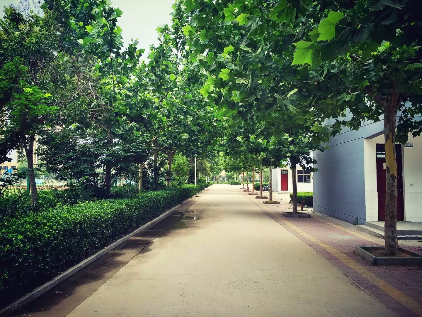 原丰县修远双语学校