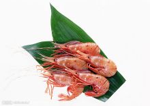 节足动物 百度百科