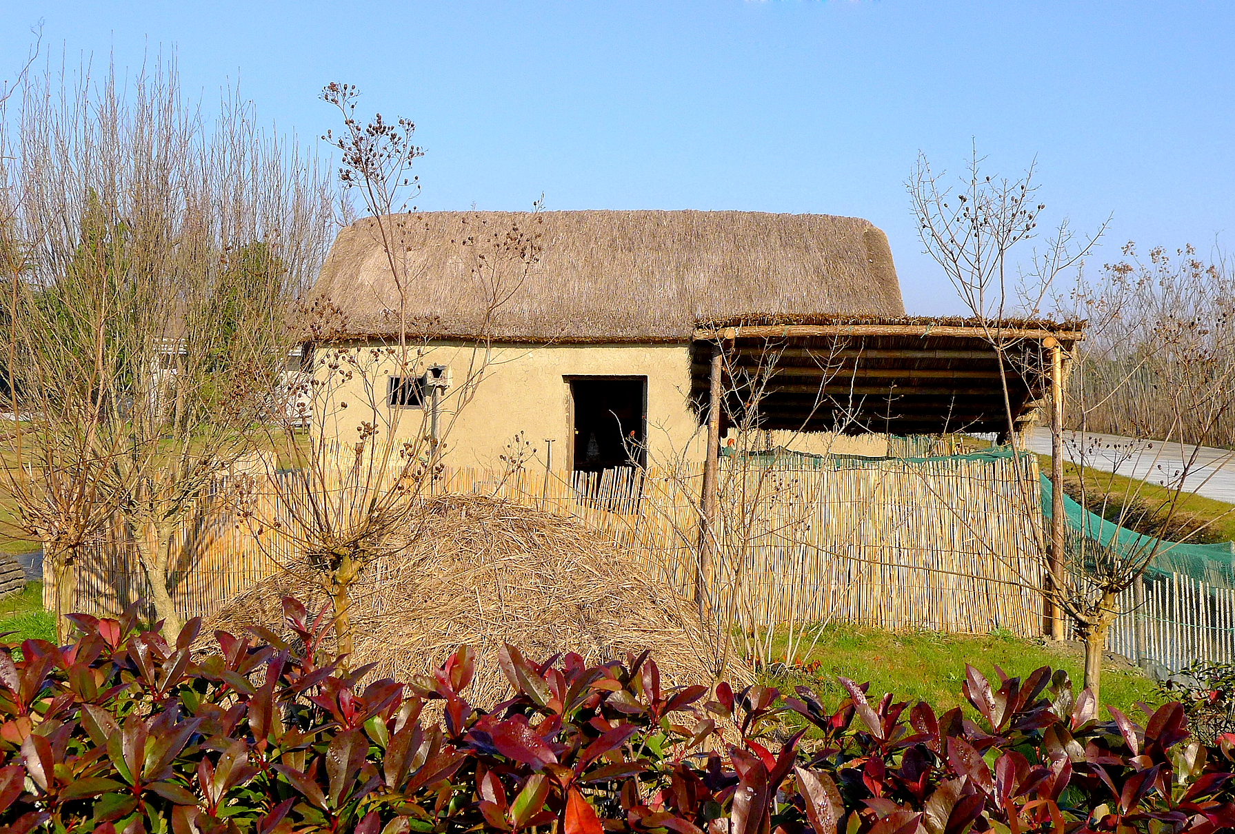 草房子-曹文轩小说阅读与鉴赏