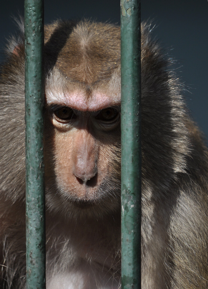 太原卧虎山动物园