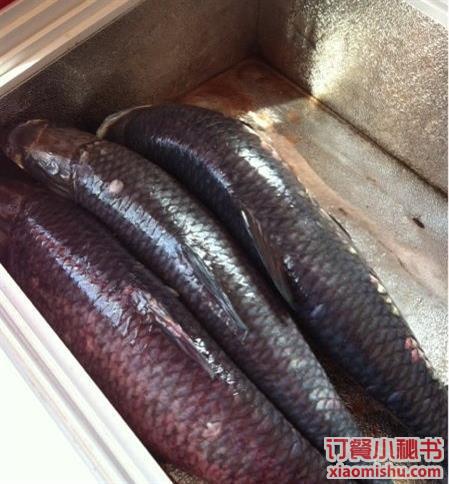 老刘野生大鱼坊(赛马场店)