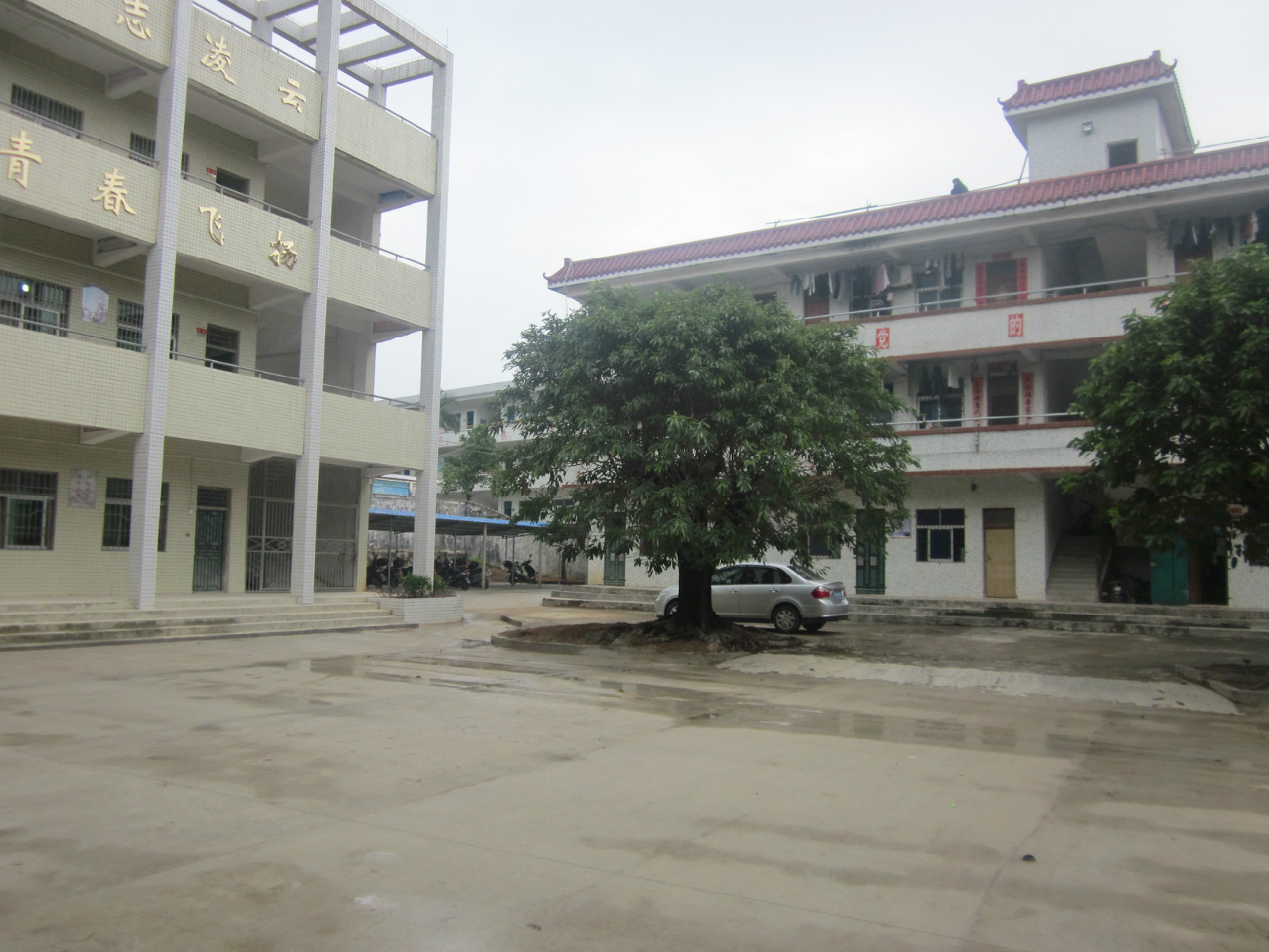 陆河县新田中学