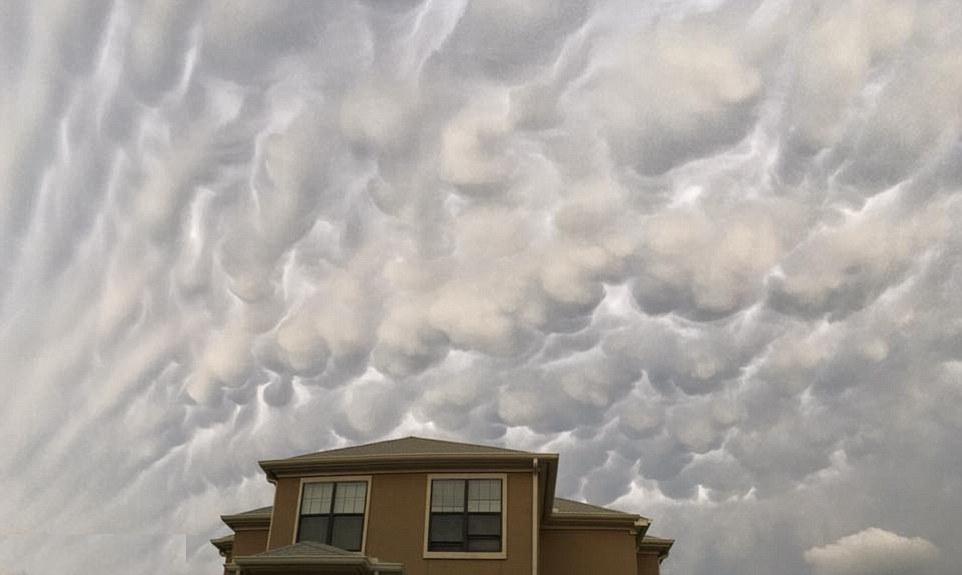  p>乳状云,又称"乳状积云","乳房云",是自然界的一个奇观.