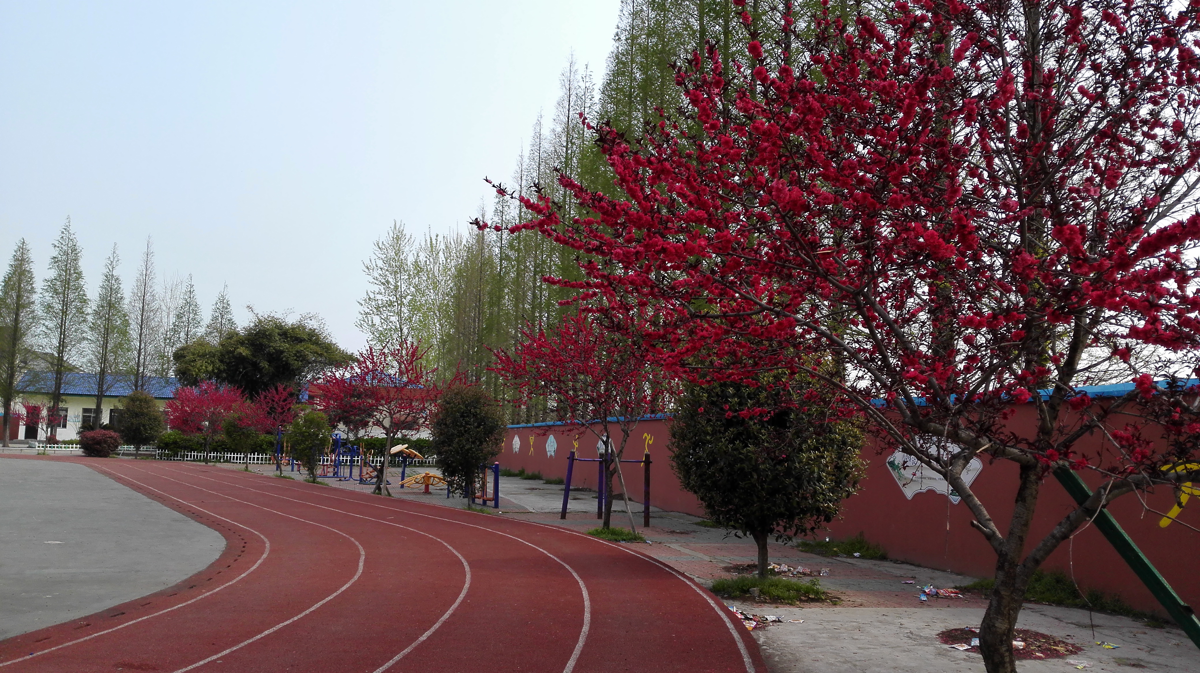 潜江市老新镇徐李小学