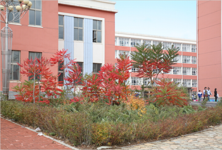 建平县高级中学