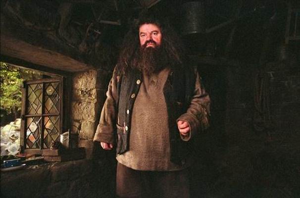 robbie coltrane