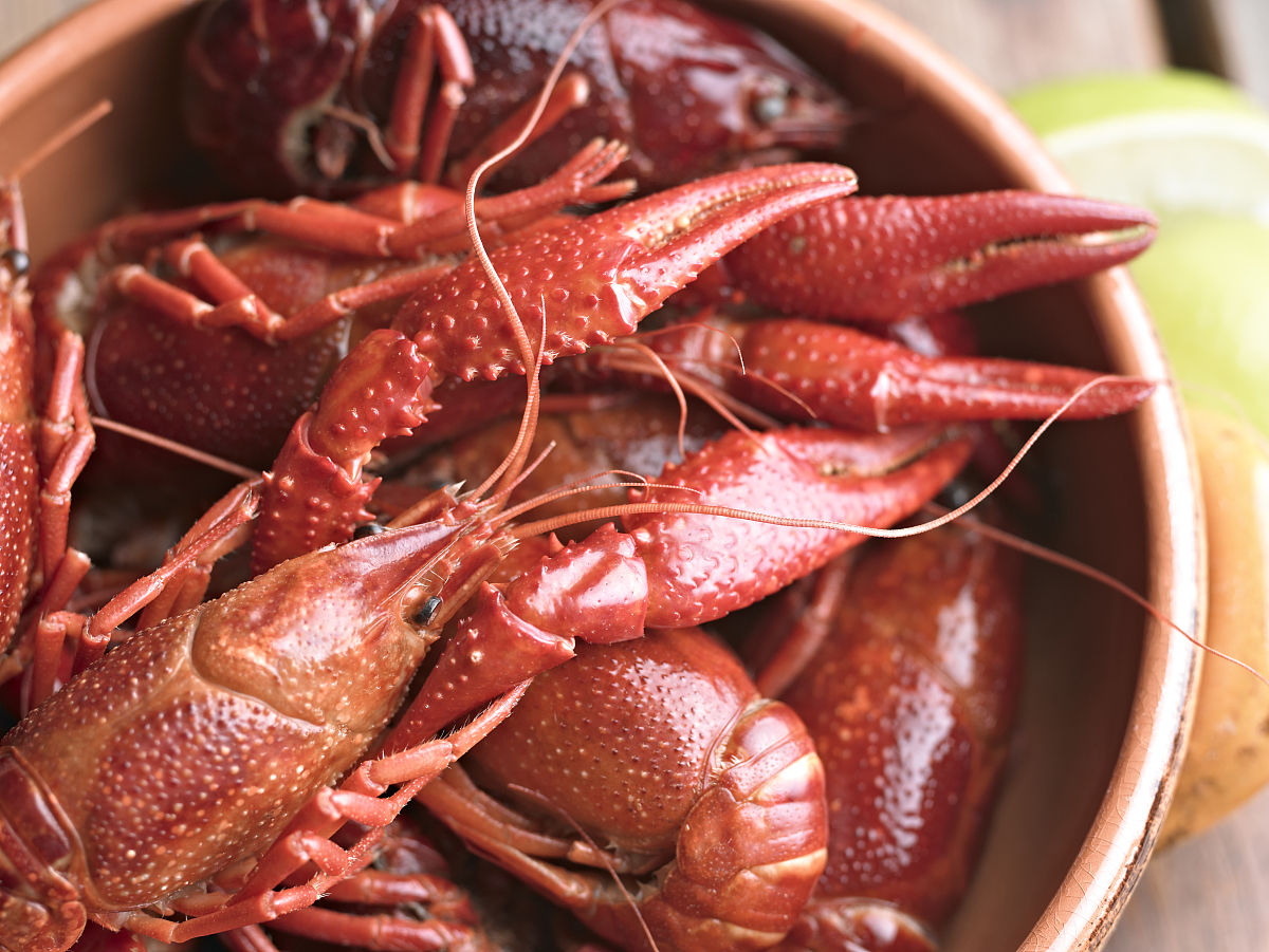  p>水煮小龙虾是一道菜品,主料为小龙虾.