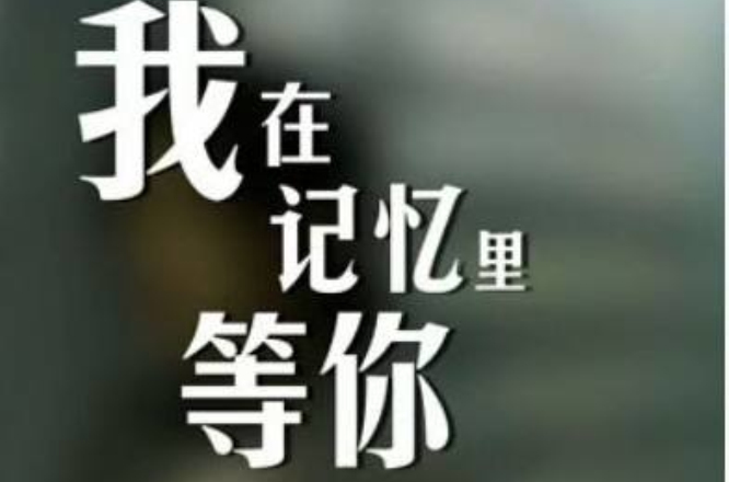 我在记忆里等你