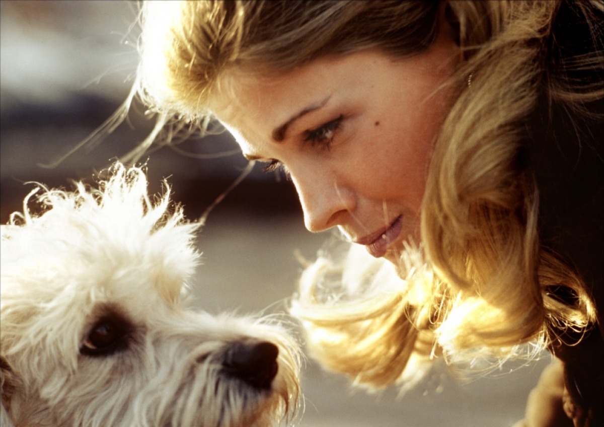  p>坎迪斯·伯根(candice bergen),1946年5月9日出生于 a target="