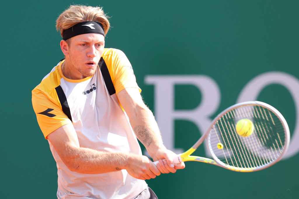 达维多维奇·福基纳