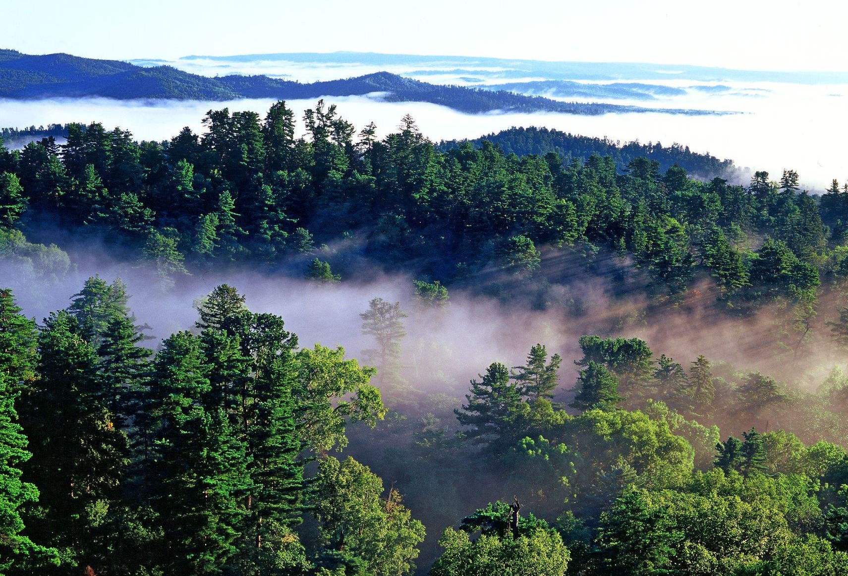 伊春水上公园风景区
