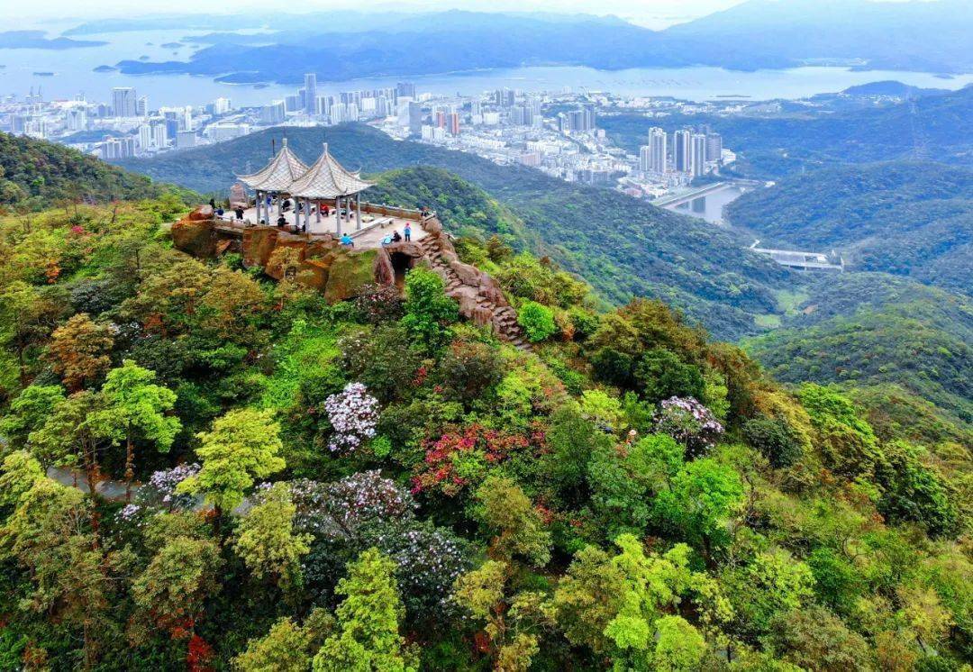 广东梧桐山国家森林公园