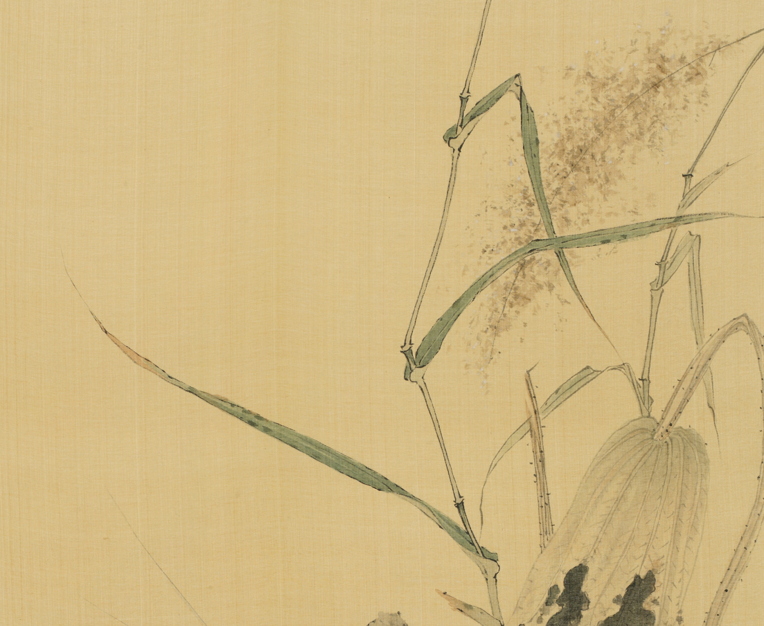 画家白涤作品多少钱(白涤州是谁)-画家白涤联系方式,画家白涤作品多少钱(白涤州是谁)-画家白涤联系方式,画家白涤,第2张