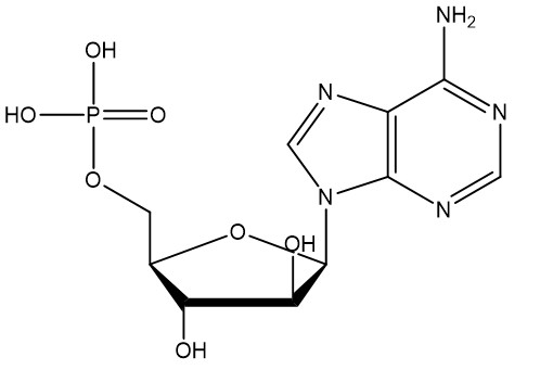 单磷酸阿糖腺苷