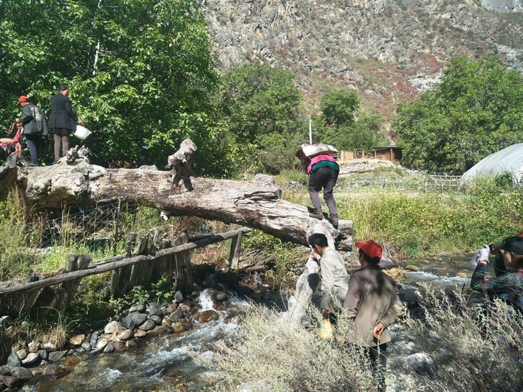  p>日托村,西藏自治区林芝市察隅县古拉乡辖行政村. /p>