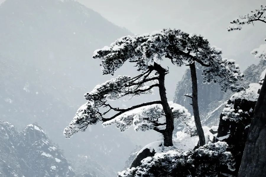 松烟，入墨_百科TA说