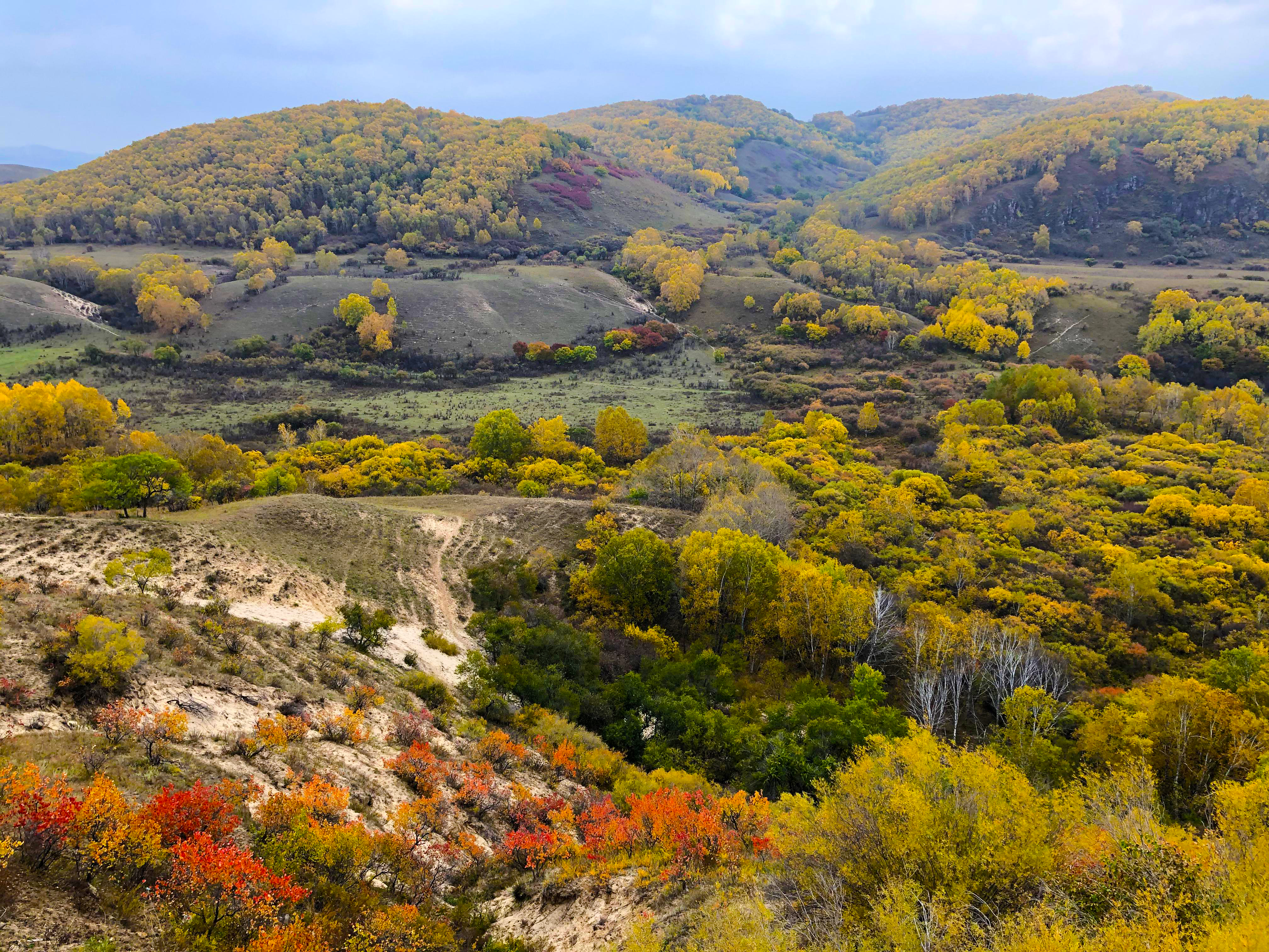 御道口草原风景区