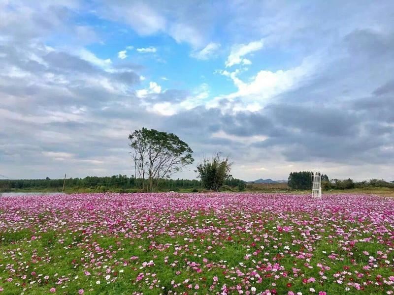 紫溪半岛休闲天地
