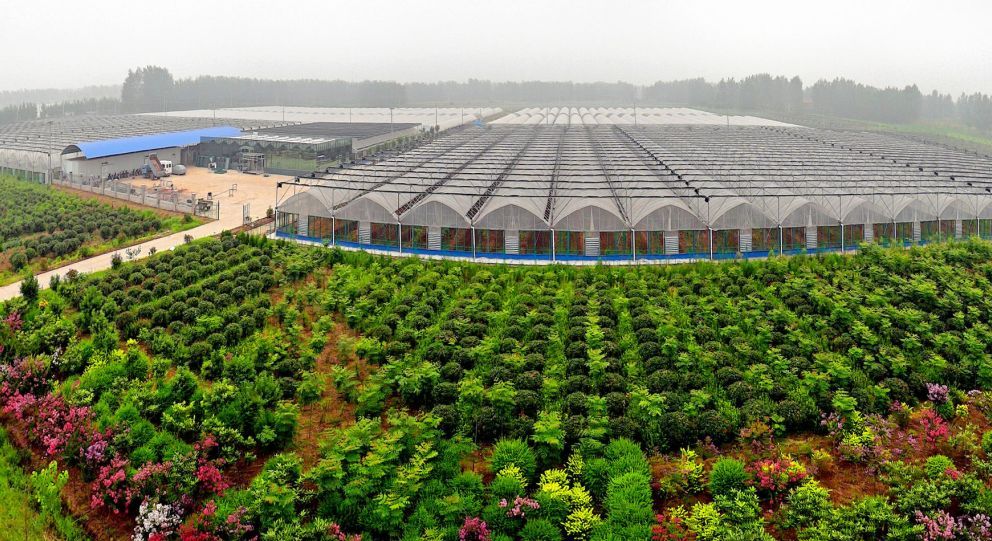 乌海市绿色生态农业产业园