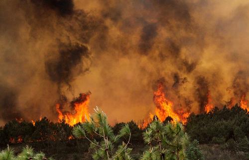 4·23青岛小珠山森林火灾