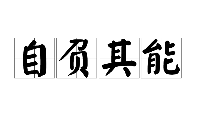 自负其能