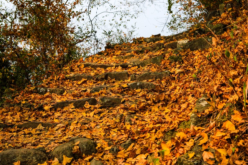  p data-id="gnb2byqssp">东坪古道,位于浙江省衢州市衢江区 a target