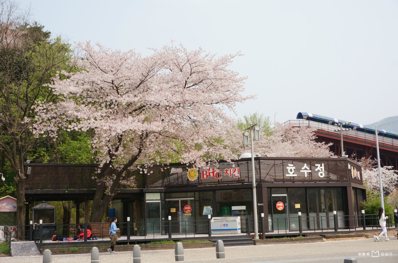 果川的首尔大公园是 a href="#" data-lemmaid="6009333">韩国 /a>