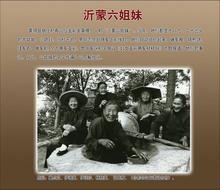 data-lemmaid="4599861">沂蒙山区 /a>",是以蒙山山系和沂河流域为