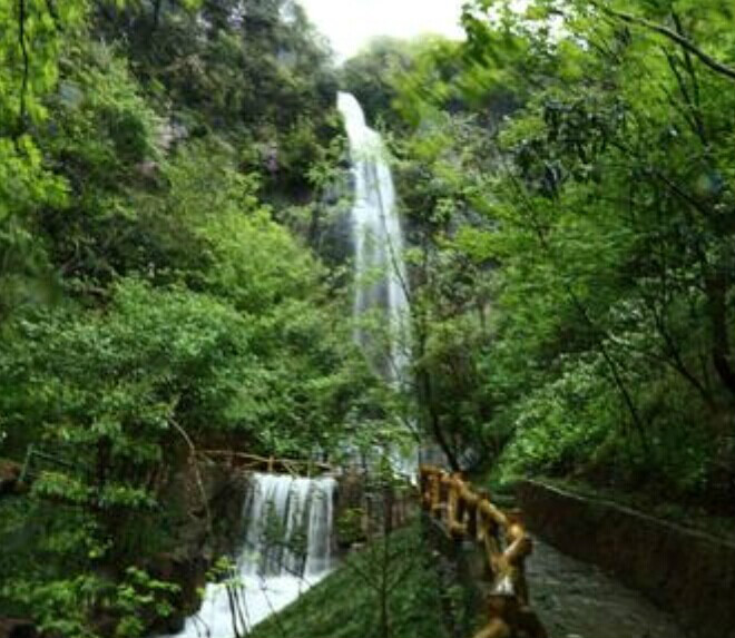  p data-id="gnbsno4kl8"> b>厦门莲花国家森林公园 /b>的前身是"福建