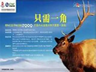 17909_百度百科