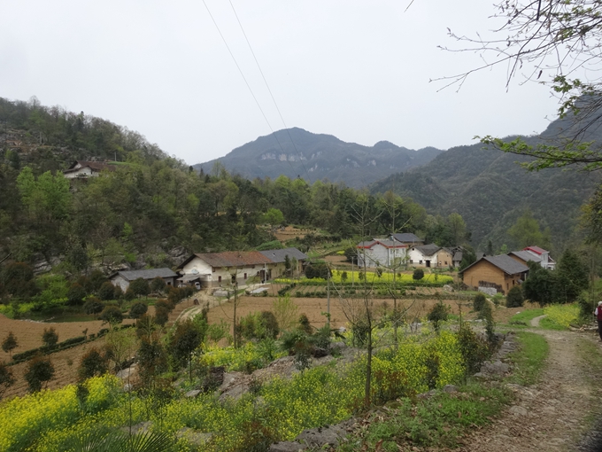 青岗坪村