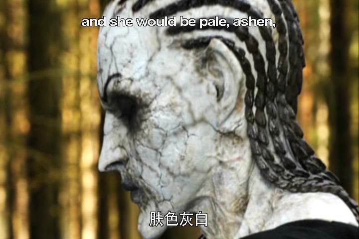 韩赛尔与格蕾特 女巫猎人