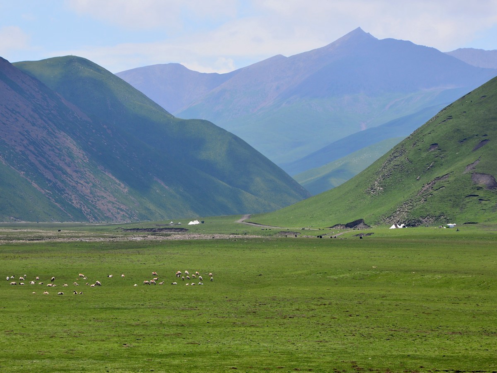  p> a target="_blank" href="/item/祁连山/481601" data-lemmaid="