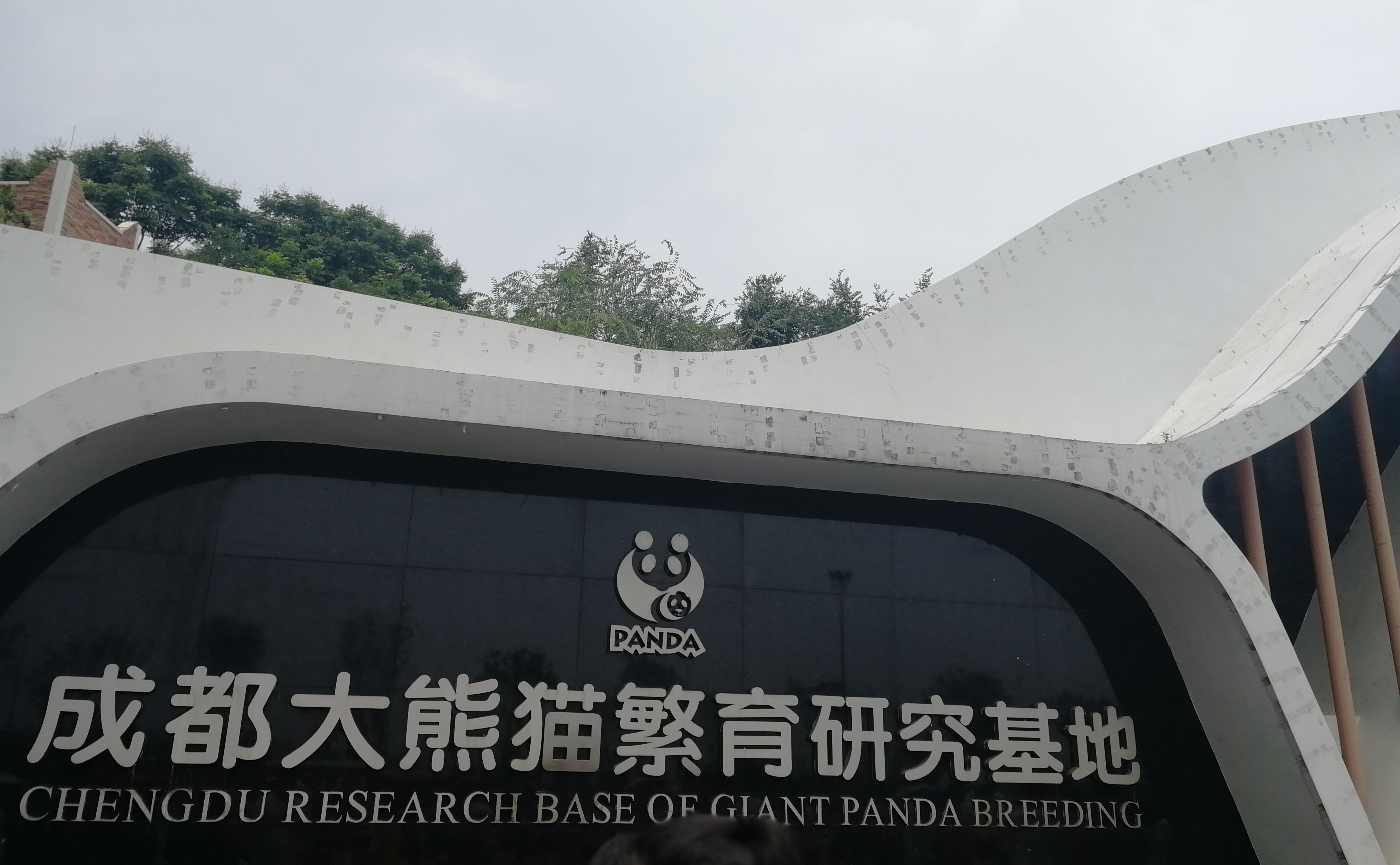 成都大熊猫繁育基地