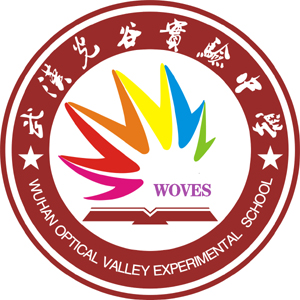 东湖中学网站建设文案策划的简单介绍