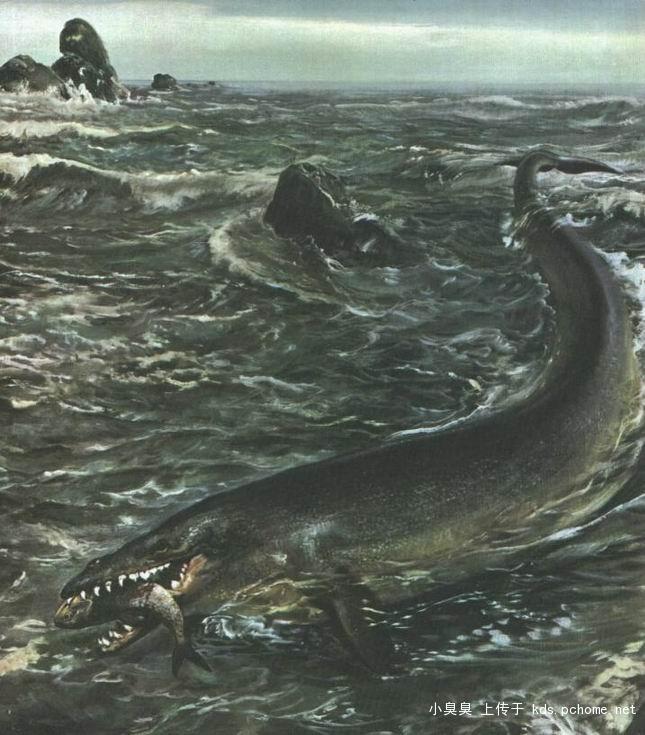 ">蜥蜴 /a>),又名 a target="_blank" href="/item/械齿鲸/7047382"