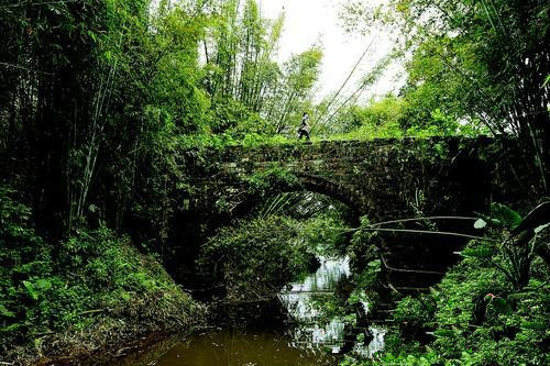  p data-id="gnhfvxv1ga">观音阁镇位于博罗县东北部,地处东江中游