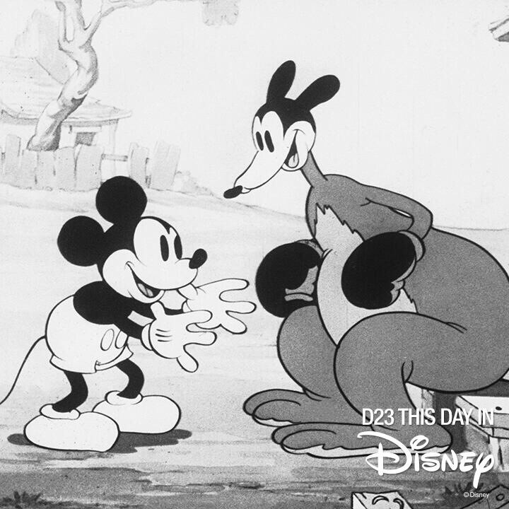 《米奇的拳击手袋鼠》是迪斯尼制作的一部动画短片,于1935年在美国