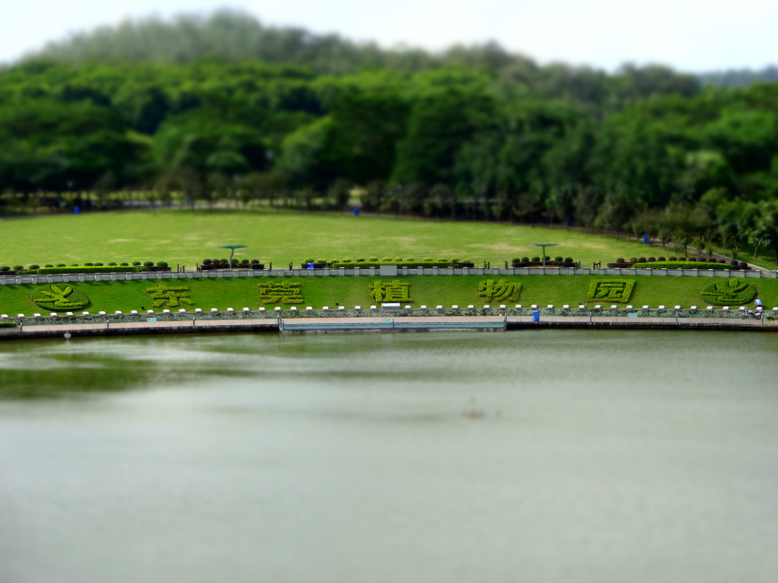  p>绿色世界地处 a target="_blank" href="/item/东莞市/219243"