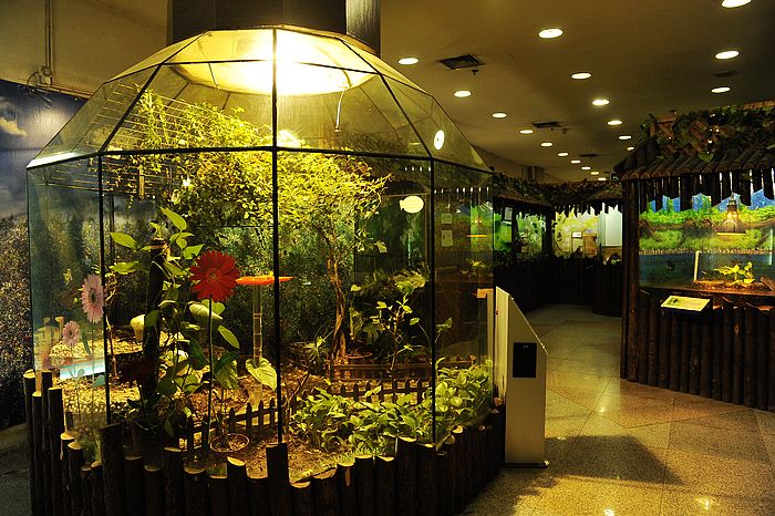  p>上海野生昆虫馆位于 a target="_blank" href="/item/东方明珠">