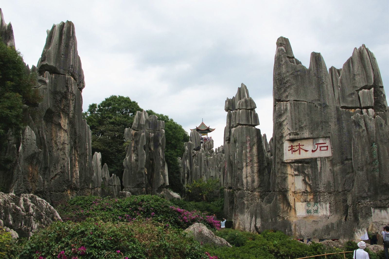 4,云南昆明市区海拔高度是1891m昆明大部分地区海拔在15002800米之间