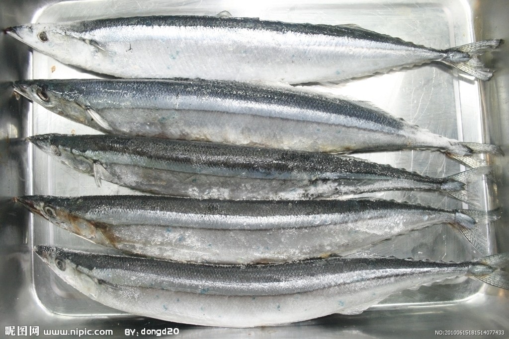  p>长刀鱼 (knifefish )一些西半球 a target="_blank" href="/item