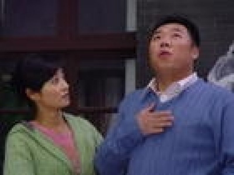 鸡毛蒜皮没小事2