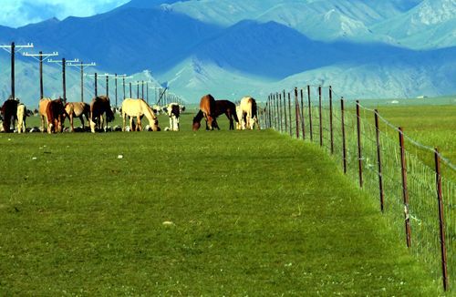  p>轮牧是划区轮牧或分区轮牧的简称,是经济有效利用 a target="