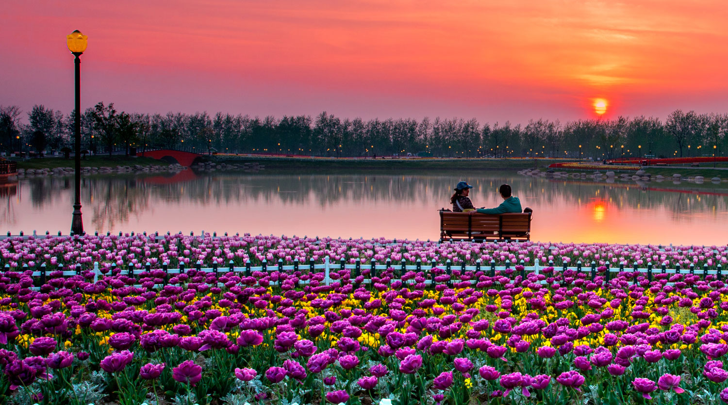  p>荷兰花海位于江苏省 a target="_blank" href="/item/盐城市