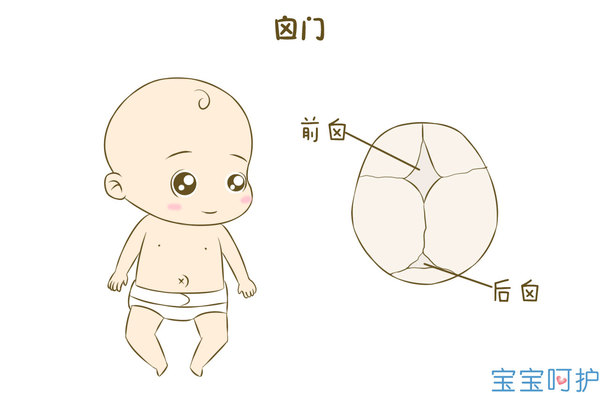 囟门